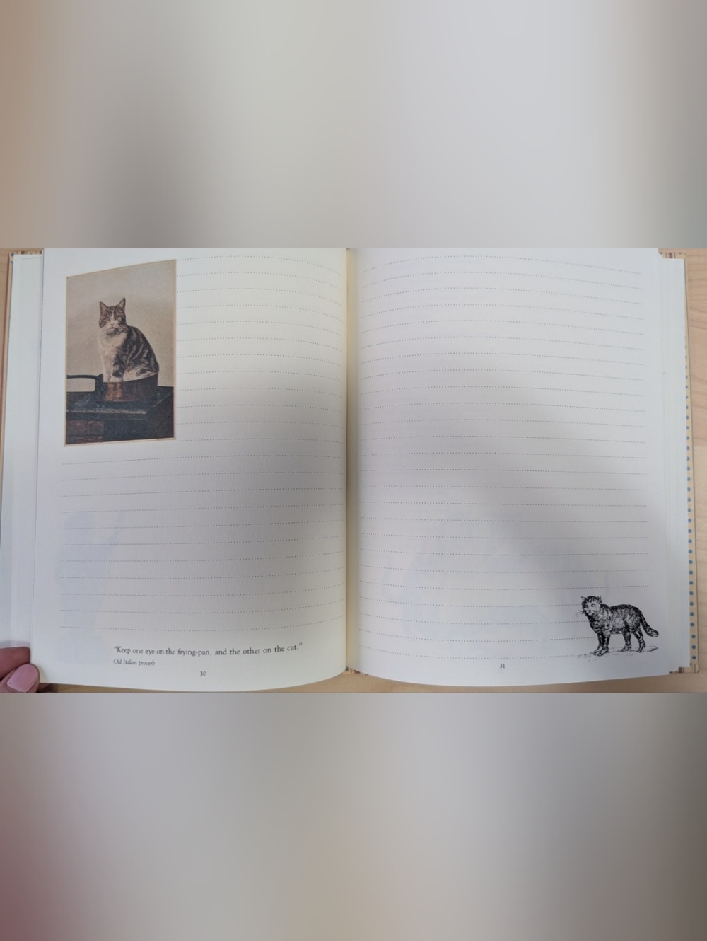 A Cat Notebook 1982 - Picture 3 of 4